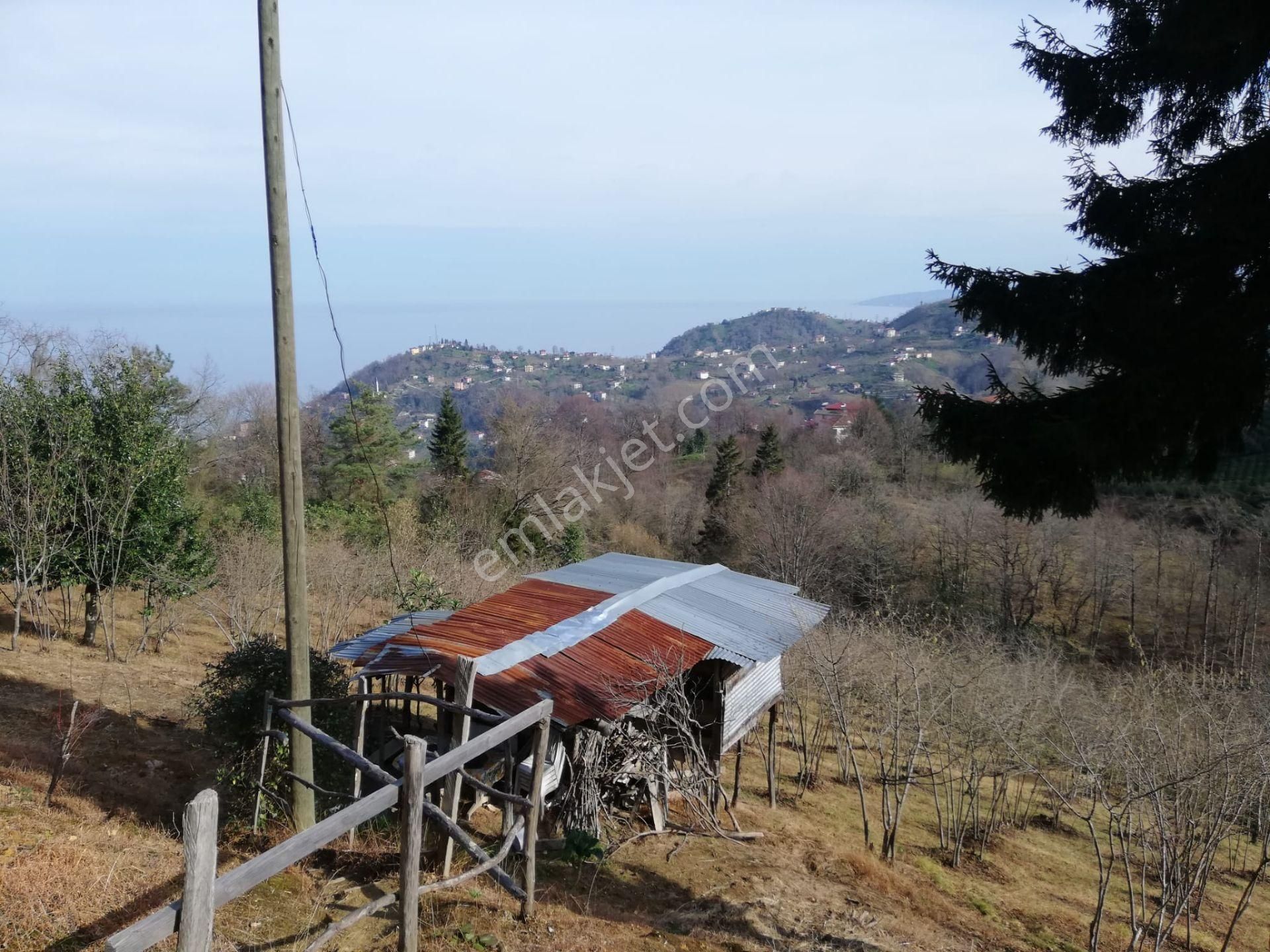 Elite Gayrimenkulden Sürmene Orta Mahallede Satılık Arazi - Görsel 13
