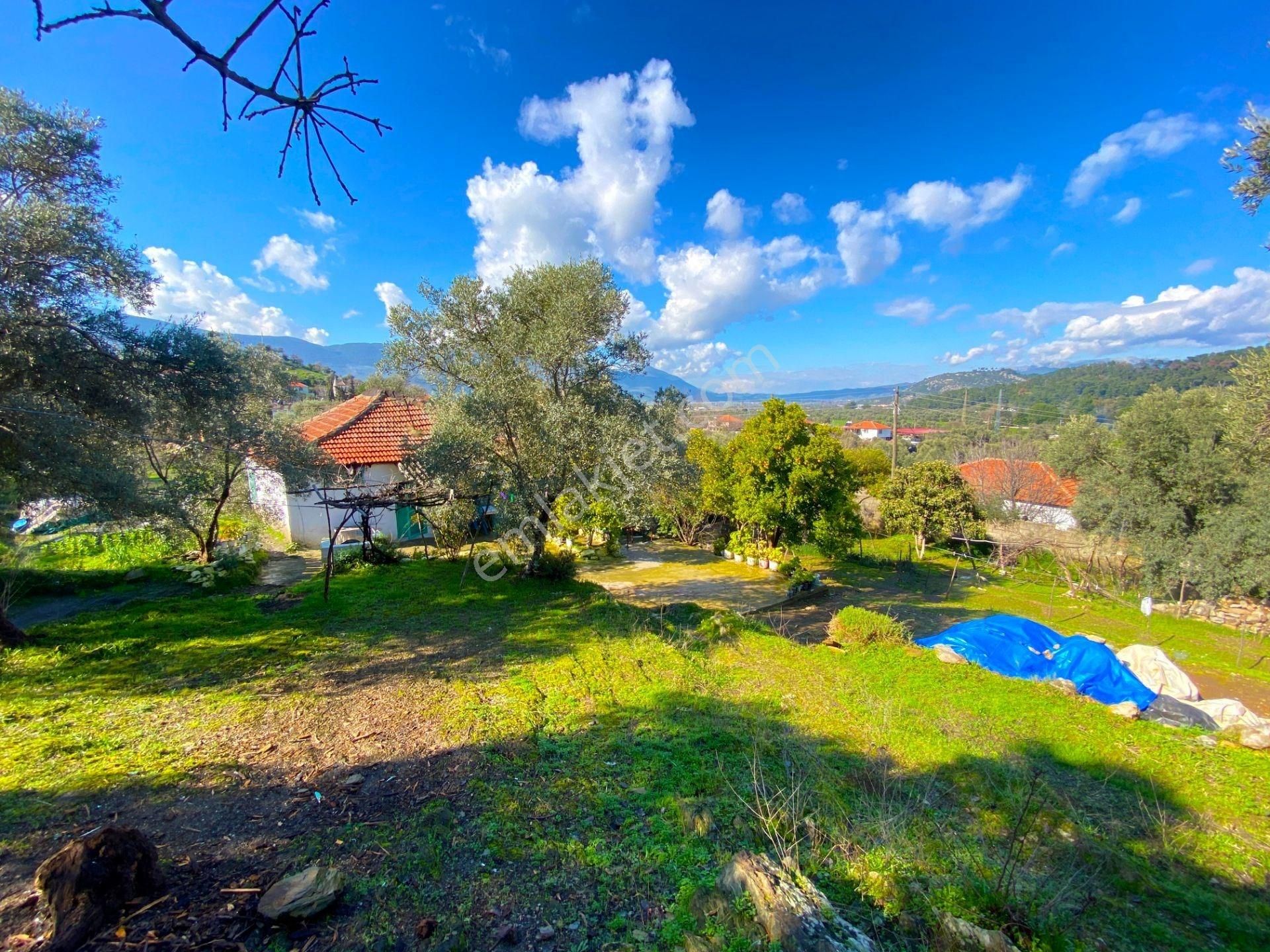 Milas Köşk De 10 Villalık Konut İmarlı Arsa - Görsel 10