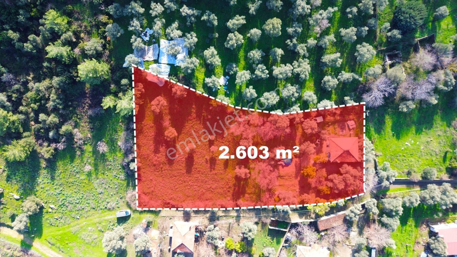 Milas Köşk De 10 Villalık Konut İmarlı Arsa - Görsel 6