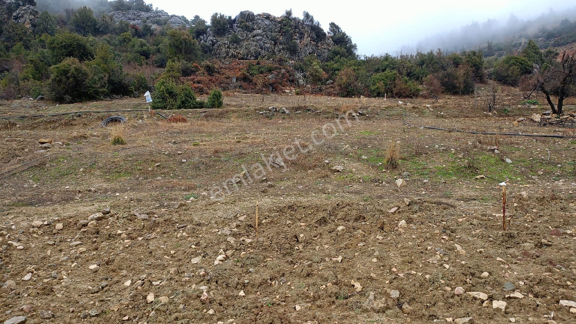 Çamlıyayla Körmenlik Satılık Arazi Çamlı Yayla Kormenlikte Satılık 2.5donum Arsa