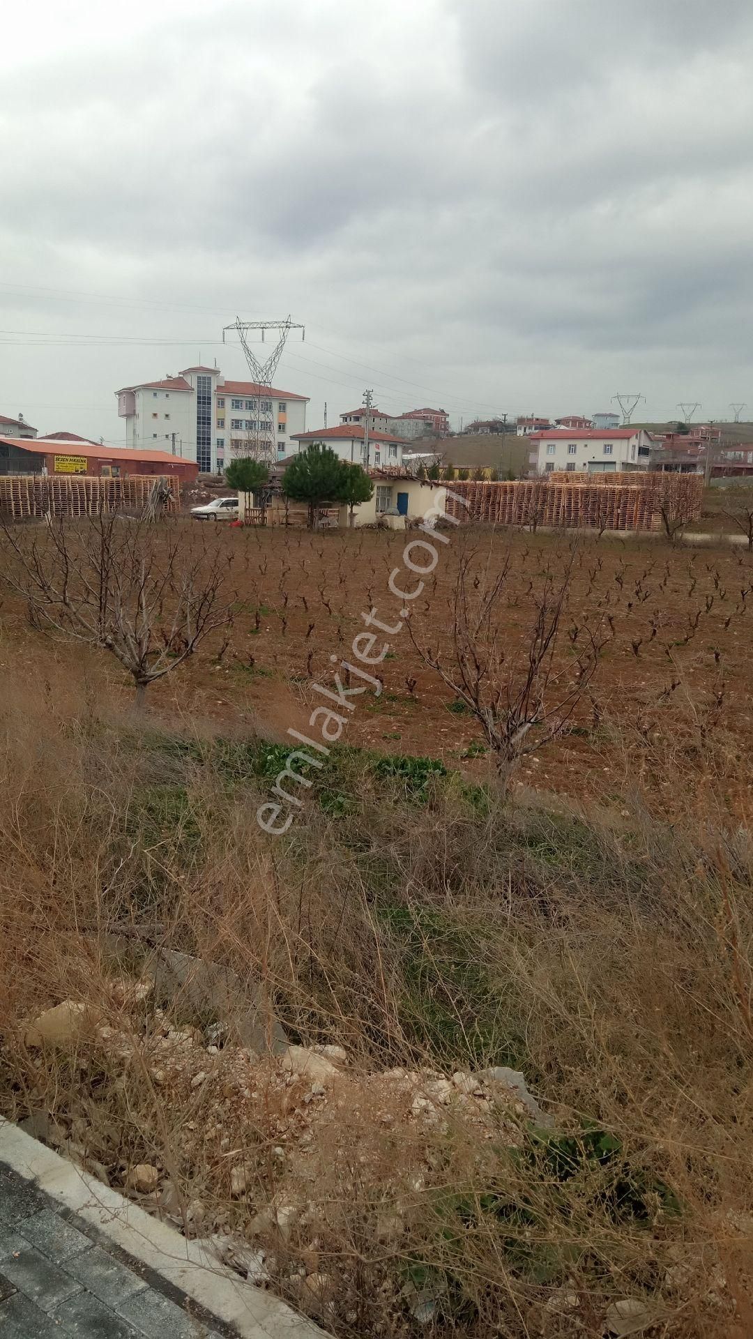 Tokat Erbaa Devlet Hastanesi Yolunda 294 M2 3 Kat İmarlı Arsa - Görsel 11