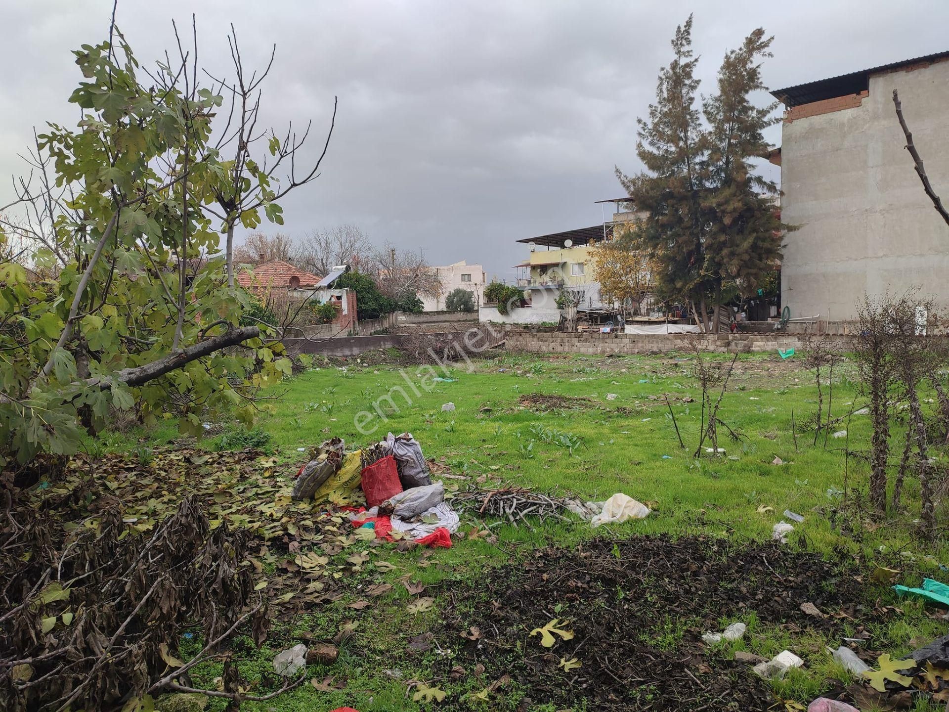 Söke Bağarası Satılık Konut+Ticaret Alanı Söke Bağarasında Satılık Arsa