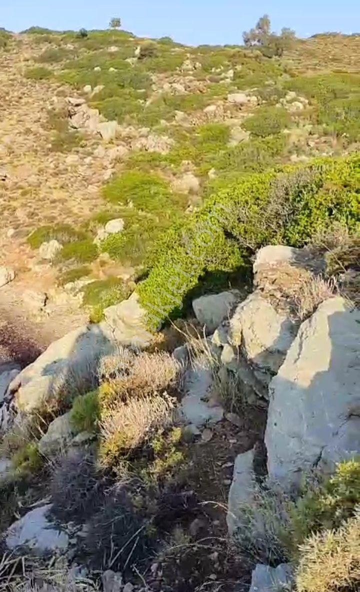 Ebrar&can'dan Bozburun Ortaca 1830 Metrekare - Görsel 5