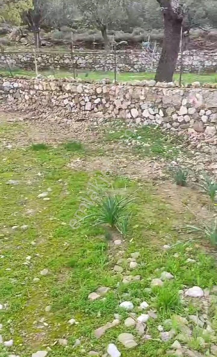 Ebrar&can'dan Burgaz Koyunda Denize 150 Metre 353 Metrekare - Görsel 6