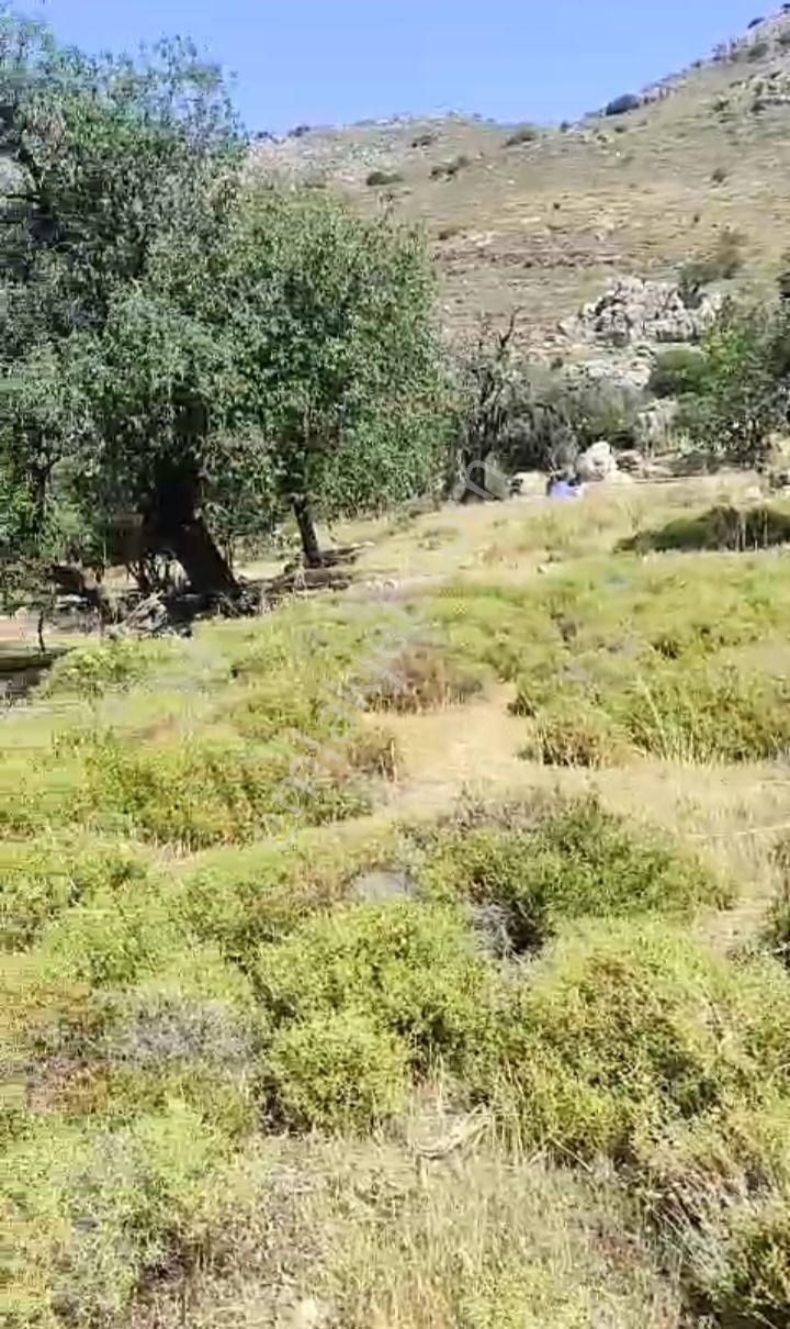 Ebrar&can'dan Tavşanbükü Full Deniz Manzaralı 390 Metrekare - Görsel 2