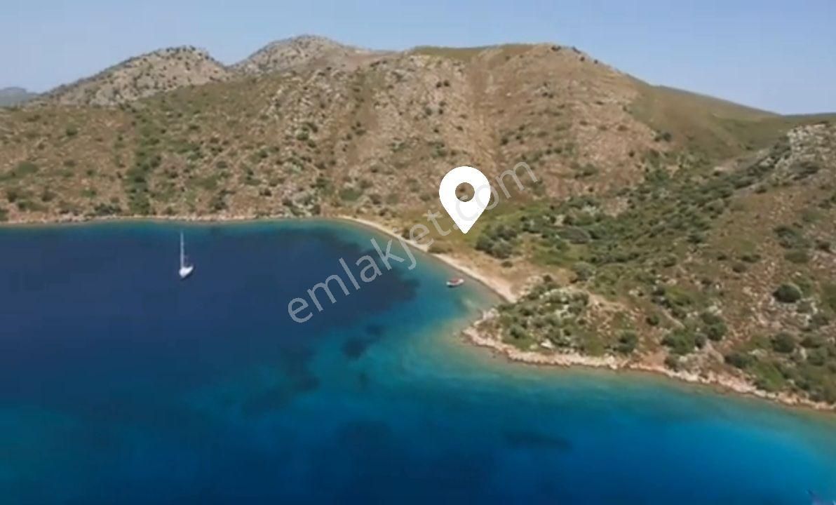 Ebrar&can'dan Dirsekbükü Denize Sıfır Müstakil Koy 36705 Metrekare - Görsel 5