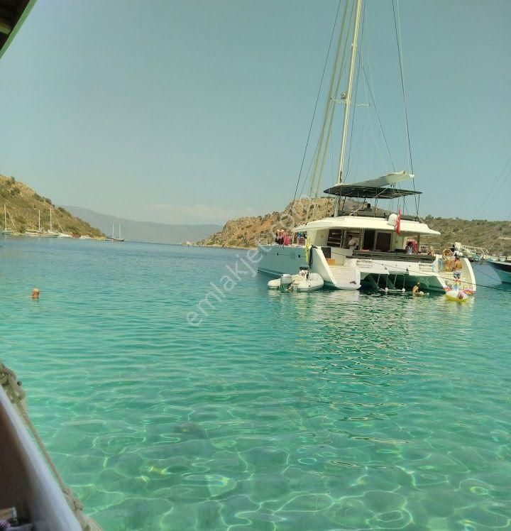 Ebrar&can'dan Dirsekbükü Denize Sıfır Müstakil Koy 36705 Metrekare - Görsel 4