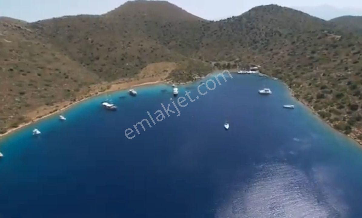 Ebrar&can'dan Dirsekbükü Denize Sıfır Müstakil Koy 36705 Metrekare - Görsel 3