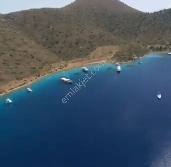 Ebrar&can'dan Dirsekbükü Denize Sıfır Müstakil Koy 36705 Metrekare - Görsel 8