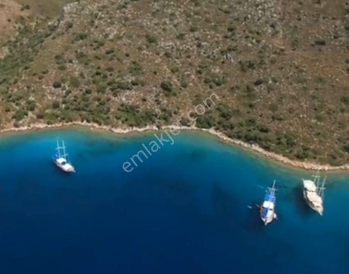 Ebrar&can'dan Dirsekbükü Denize Sıfır Müstakil Koy 36705 Metrekare - Görsel 7