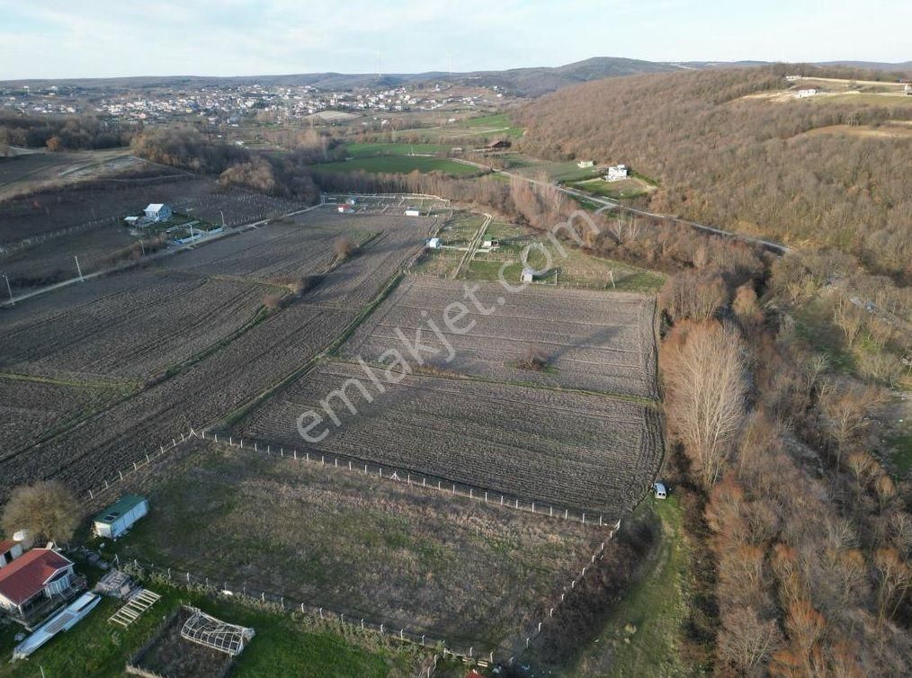 Çatalca Kabakça Satılık Tarla Çatalca Kabakça'da Müstakil Tapu 4.088m2 Yatırımlık Fırsat Arsa