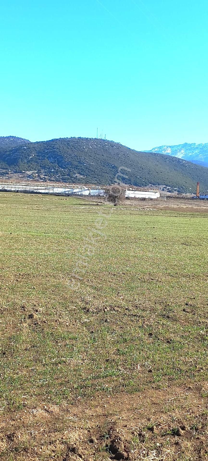 Seydikemer Seki Satılık Tarla Yazlık Ev Bahçe Sera Çiftlik Yapmaya Uygun Arazi