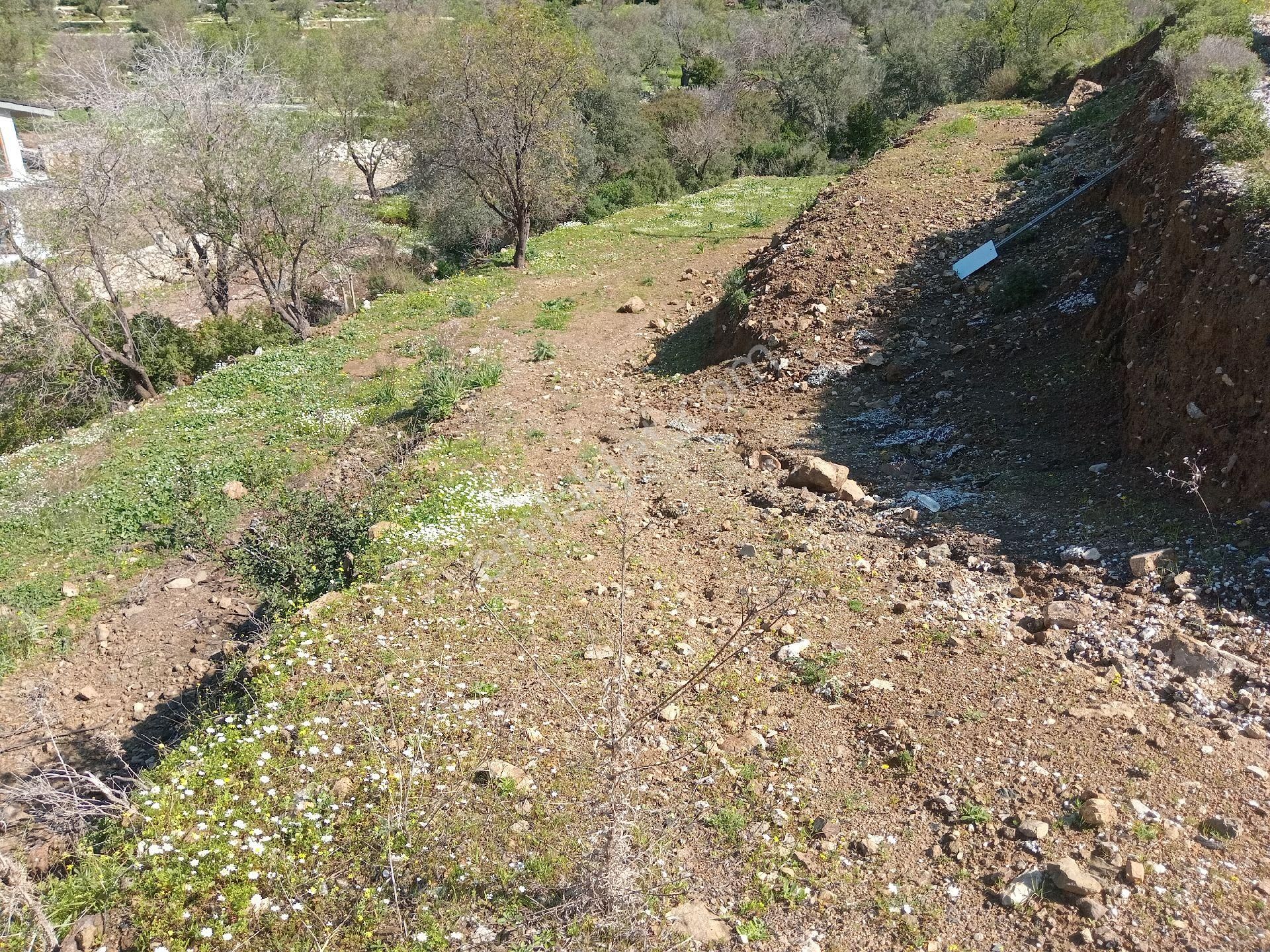 Ebrar&can'dan Bozburun Değirmendere Ana Yola Cephe 1120 Metrekare - Görsel 12