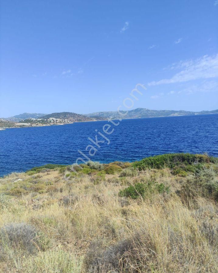 Ebrar&can'dan Ayağacı Deniz Manzaralı 490 Metrekare