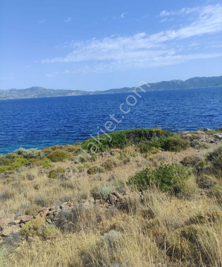 Ebrar&can'dan Ayağacı Full Deniz Manzaralı 545 Metrekare