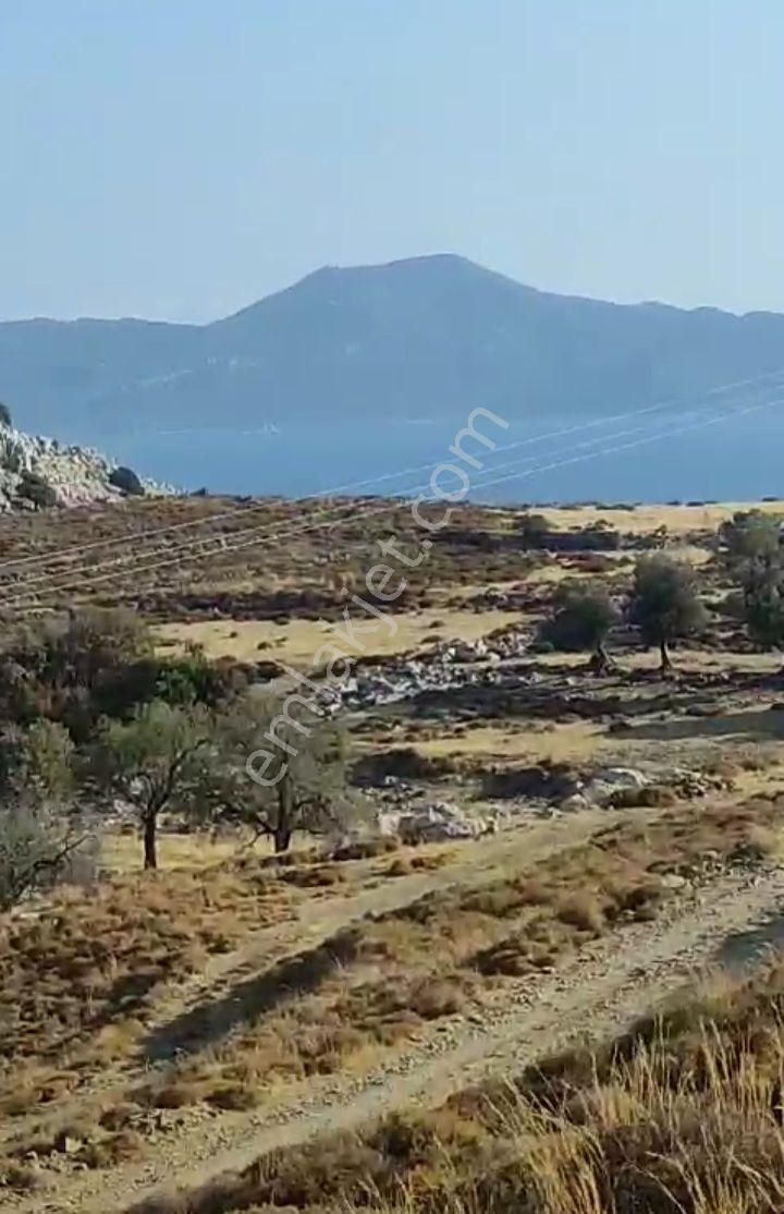 Ebrar&can Bozburun Yassıbalık Deniz Manzaralı 6591 Metrekare