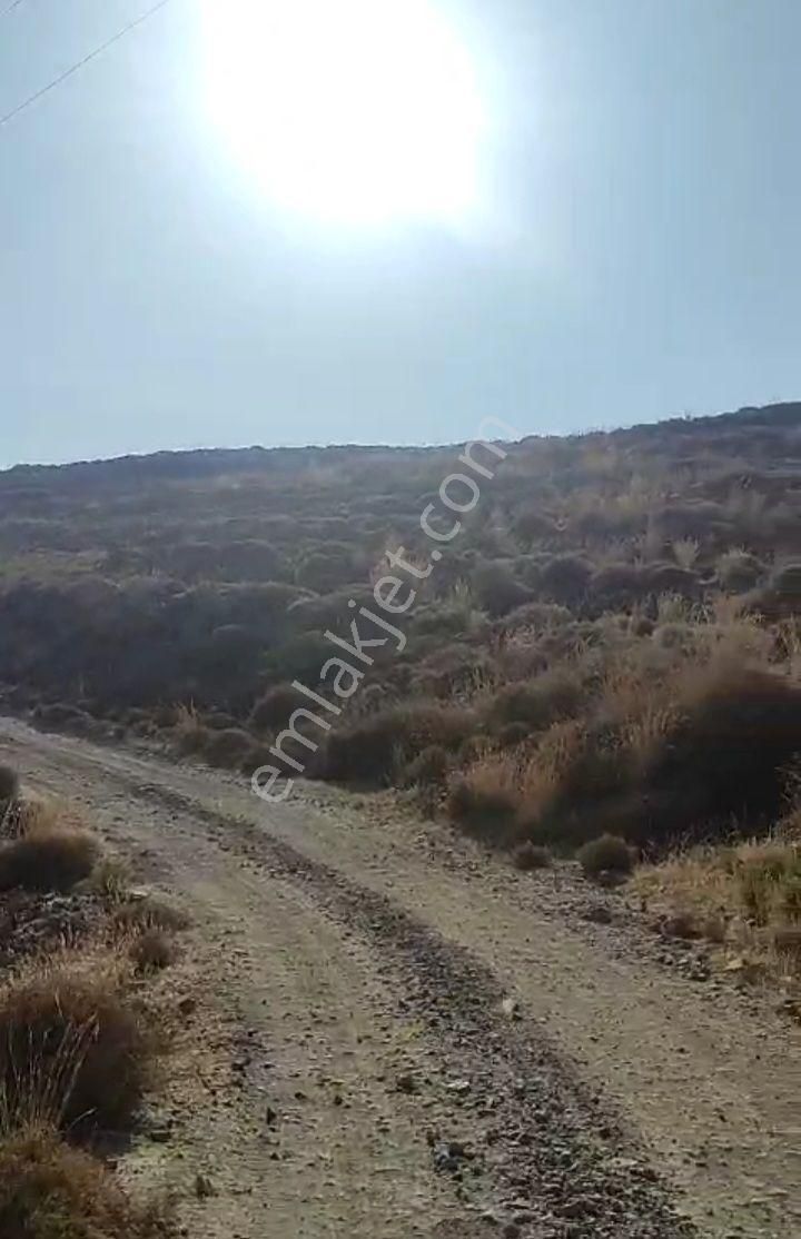 Ebrar&can Bozburun Yassıbalık Deniz Manzaralı 6591 Metrekare - Görsel 5