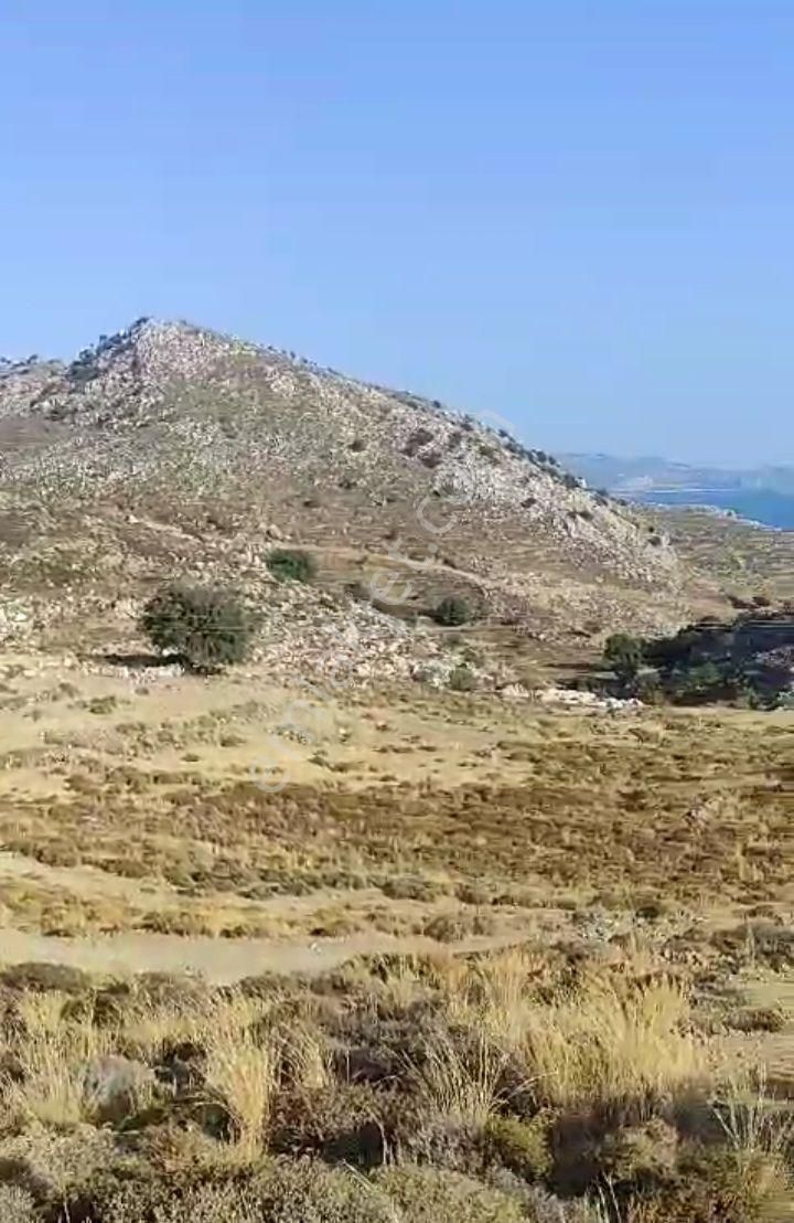 Ebrar&can Bozburun Yassıbalık Deniz Manzaralı 6591 Metrekare - Görsel 10