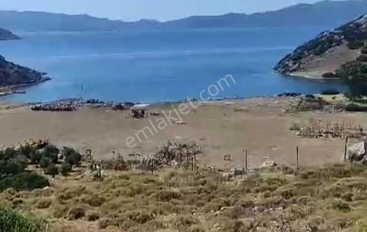 Ebrar&can'dan Tavşanbükü Full Deniz Manzaralı 791 Metrekare - Görsel 8