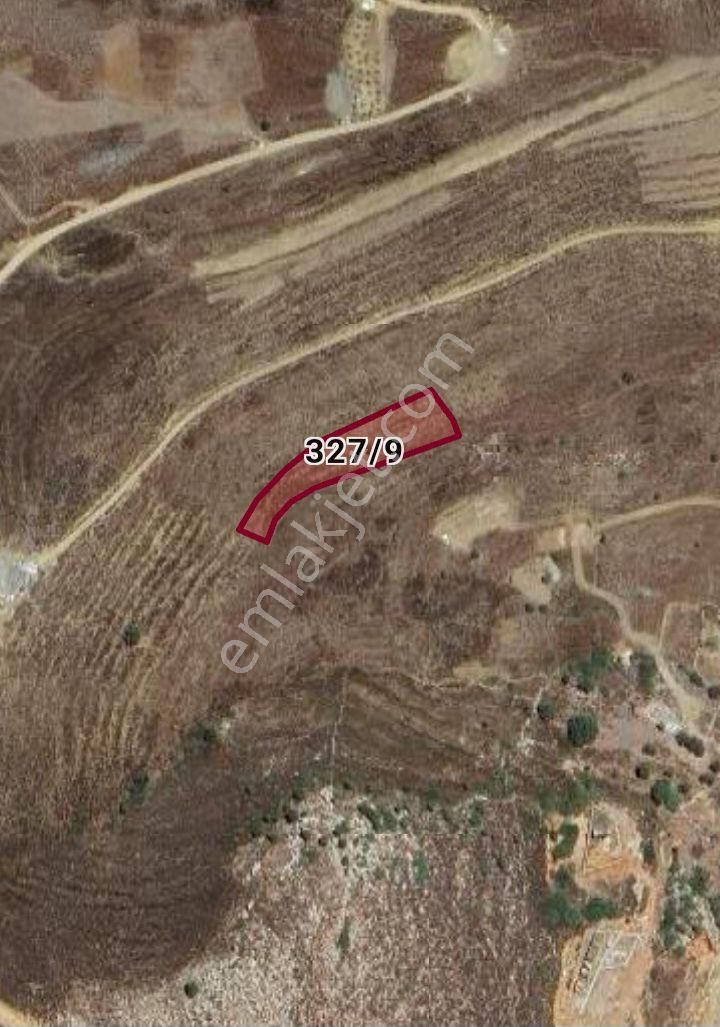 Ebrar&can'dan Ayağacı 2178 Metrekare