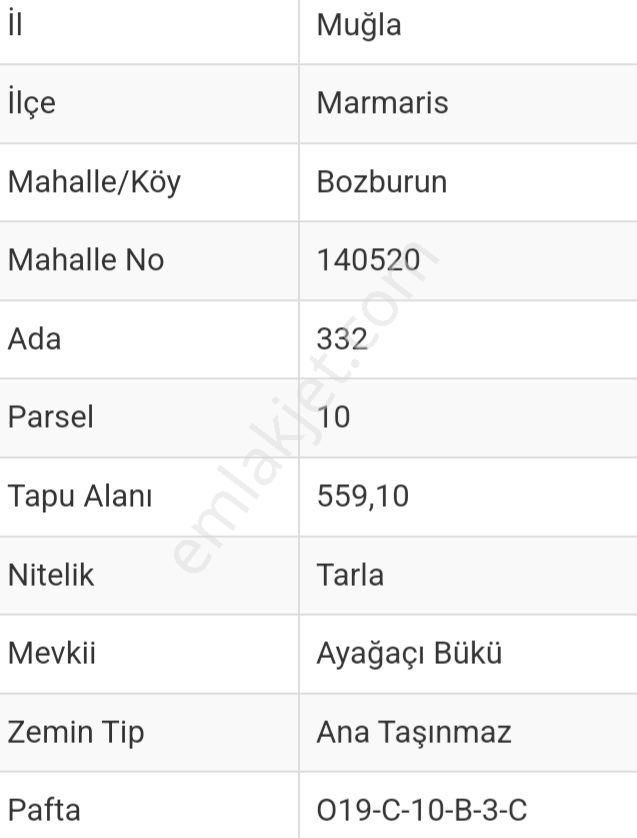 Ebrar&can'dan Ayağacı 559 Metrekare - Görsel 3