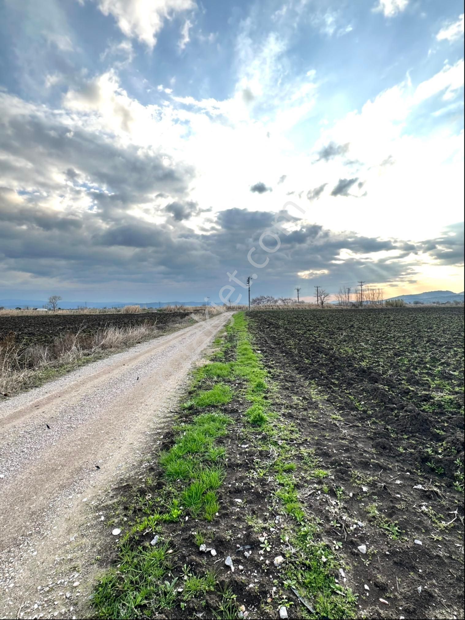 Bergama Ahmetbeyler Satılık Tarla Bergama Ya 8 Km 23.000 M2 Satılık Tarla