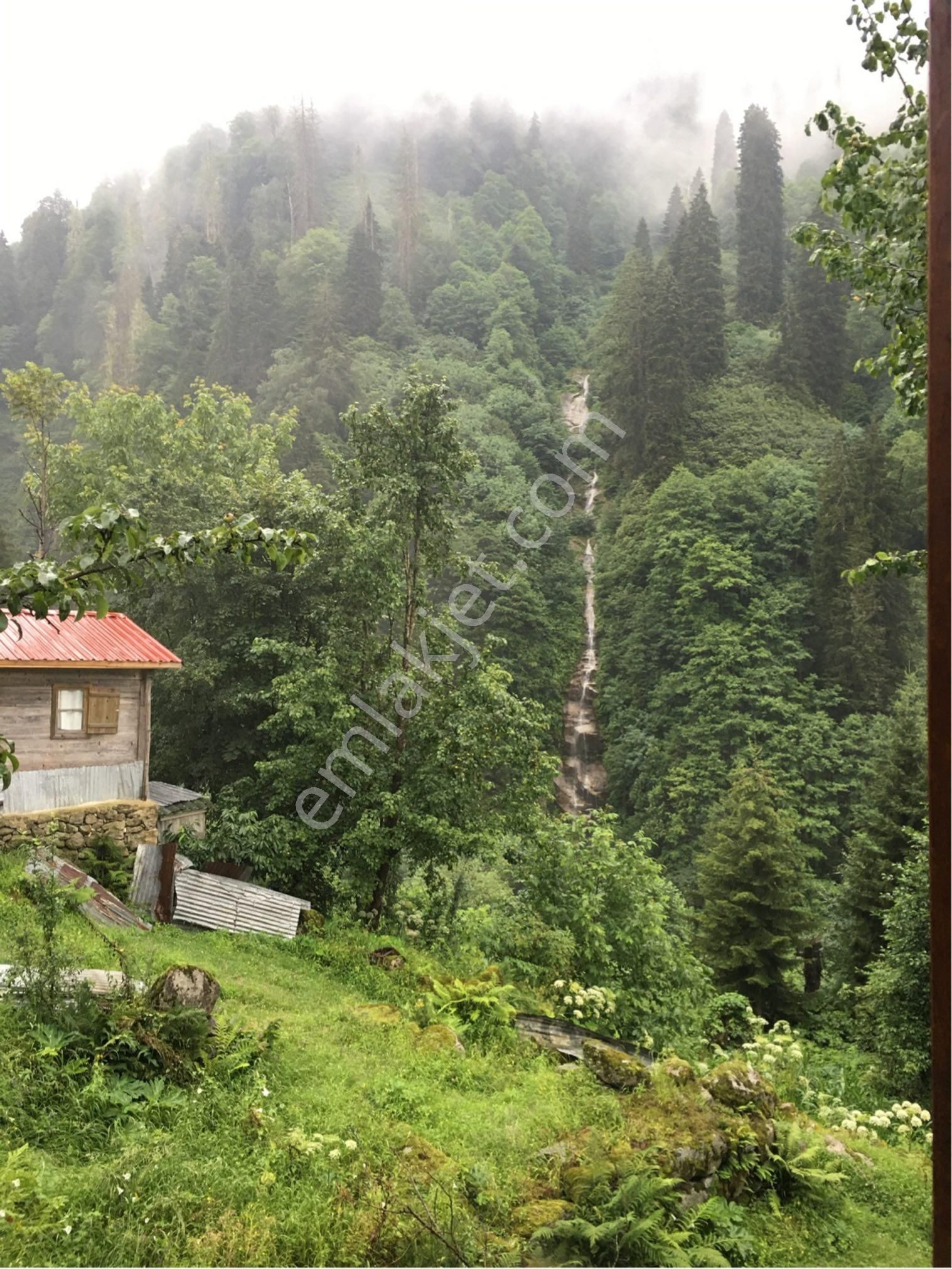 Çamlıhemşin Güroluk Köyü Satılık Tarla Ayder Yaylasına 7km