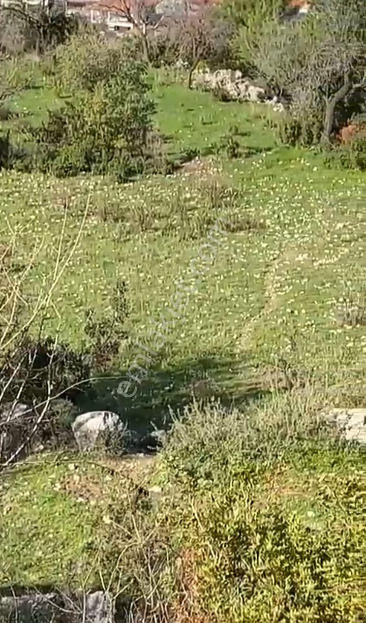 Ebrar&can'dan Söğüt Deniz Manzaralı 3096 Metrekare - Görsel 7