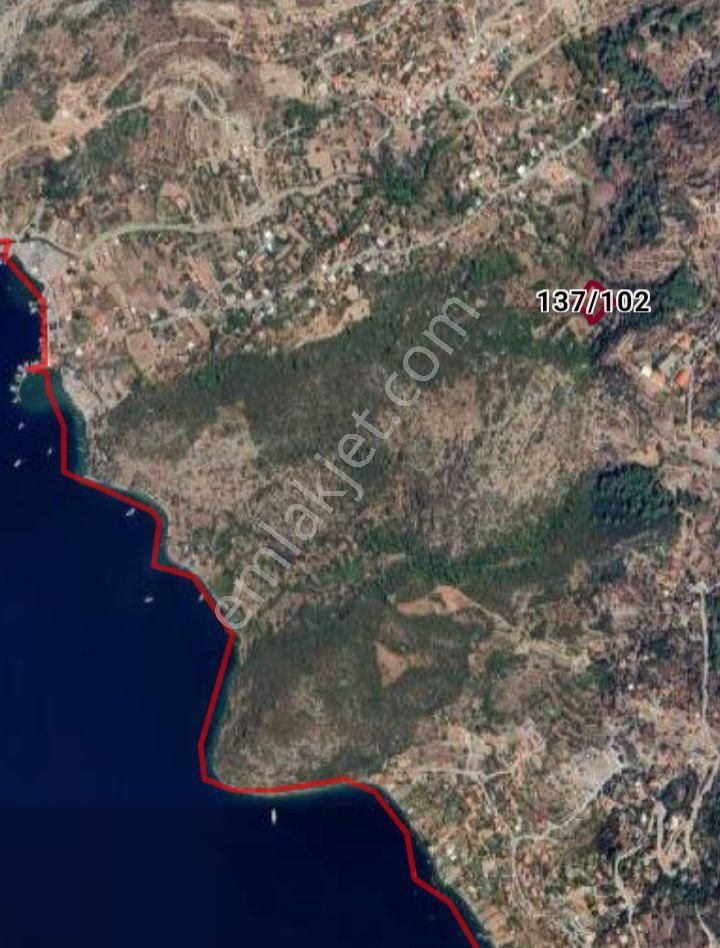 Ebrar&can'dan Söğüt Deniz Manzaralı 3096 Metrekare - Görsel 4
