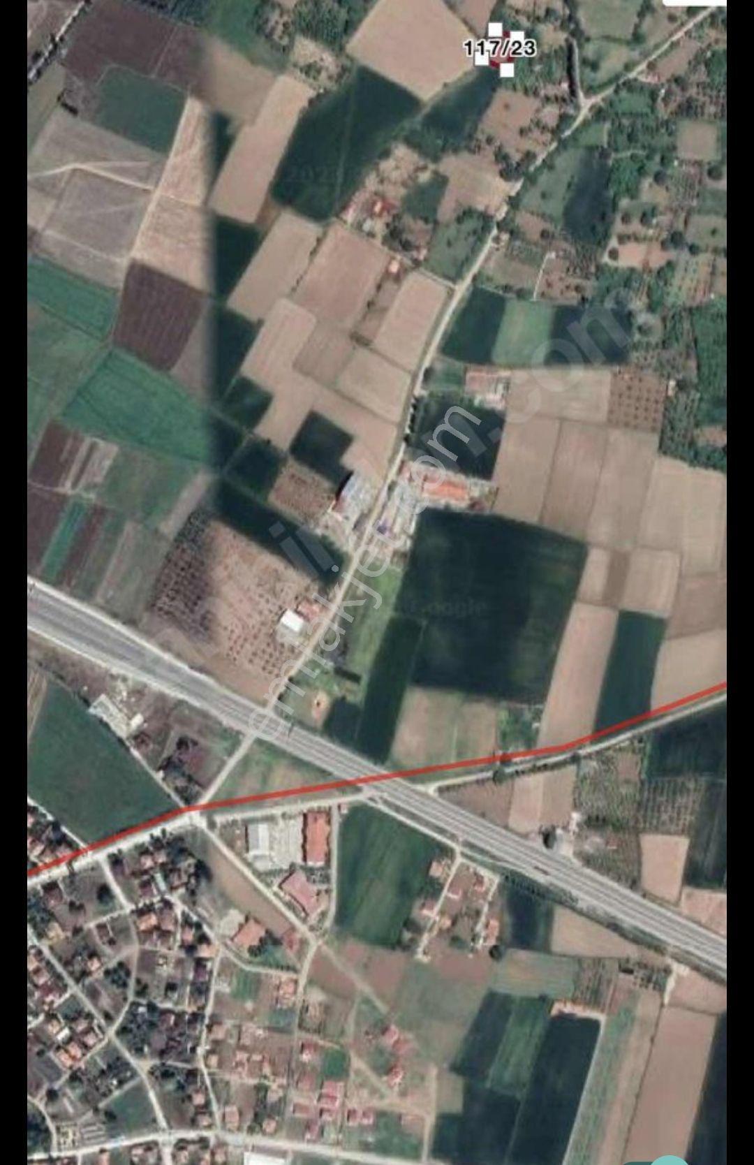 Turna Bağlarında 920 Metrekare Bağ Yeri Amasya Gümüşhacıköy De - Görsel 2