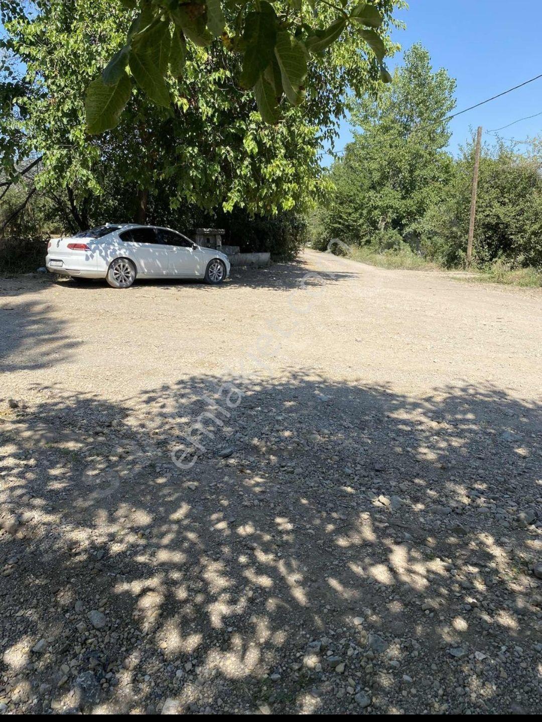 Turna Bağlarında 920 Metrekare Bağ Yeri Amasya Gümüşhacıköy De - Görsel 6