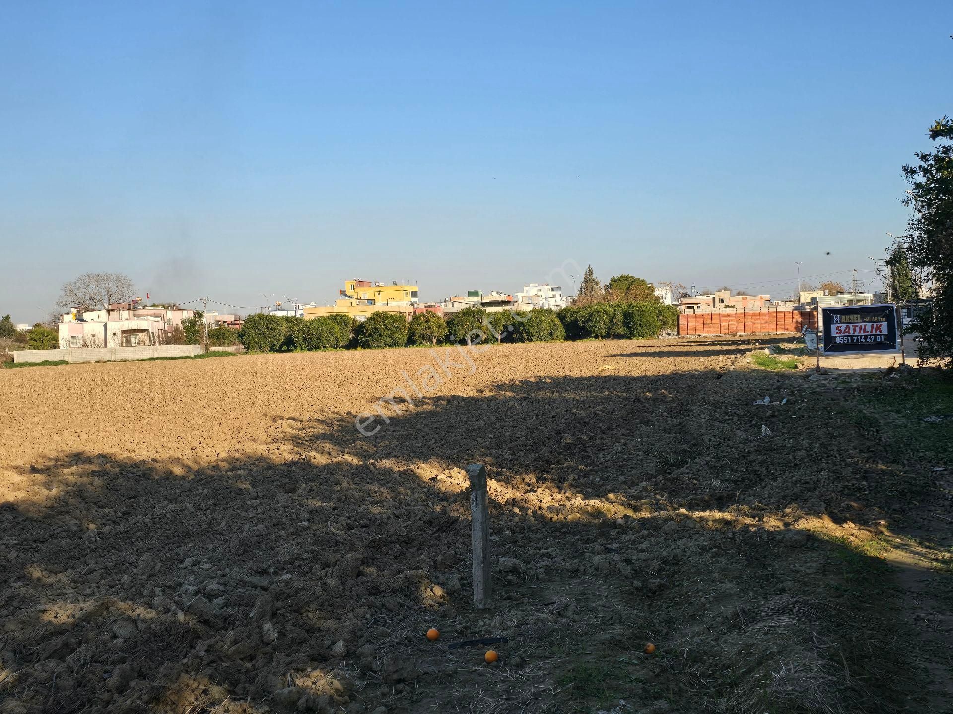 Tek Tapu Arsa - Görsel 9