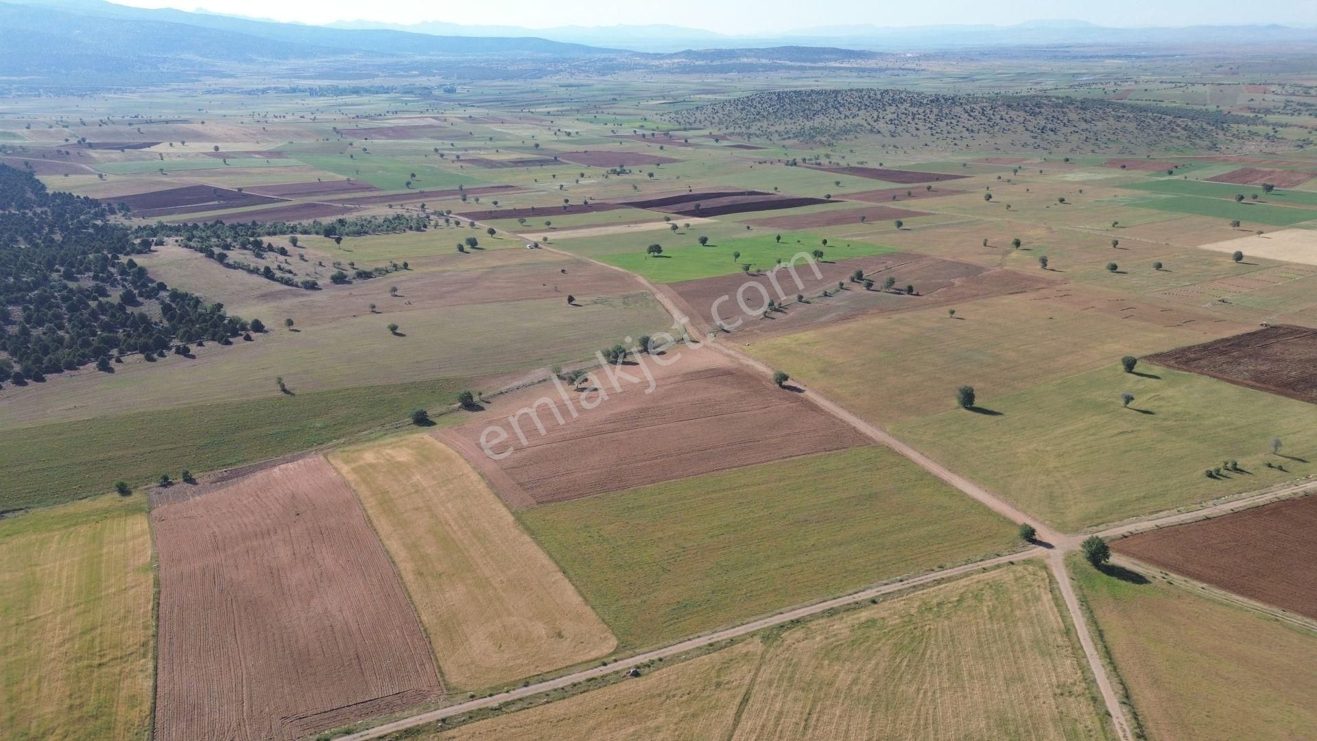 Akören Alanköy Satılık Tarla Konya / Akören / Alan Mahallesinde 13.397 M² Müstakil Tapulu Tarla