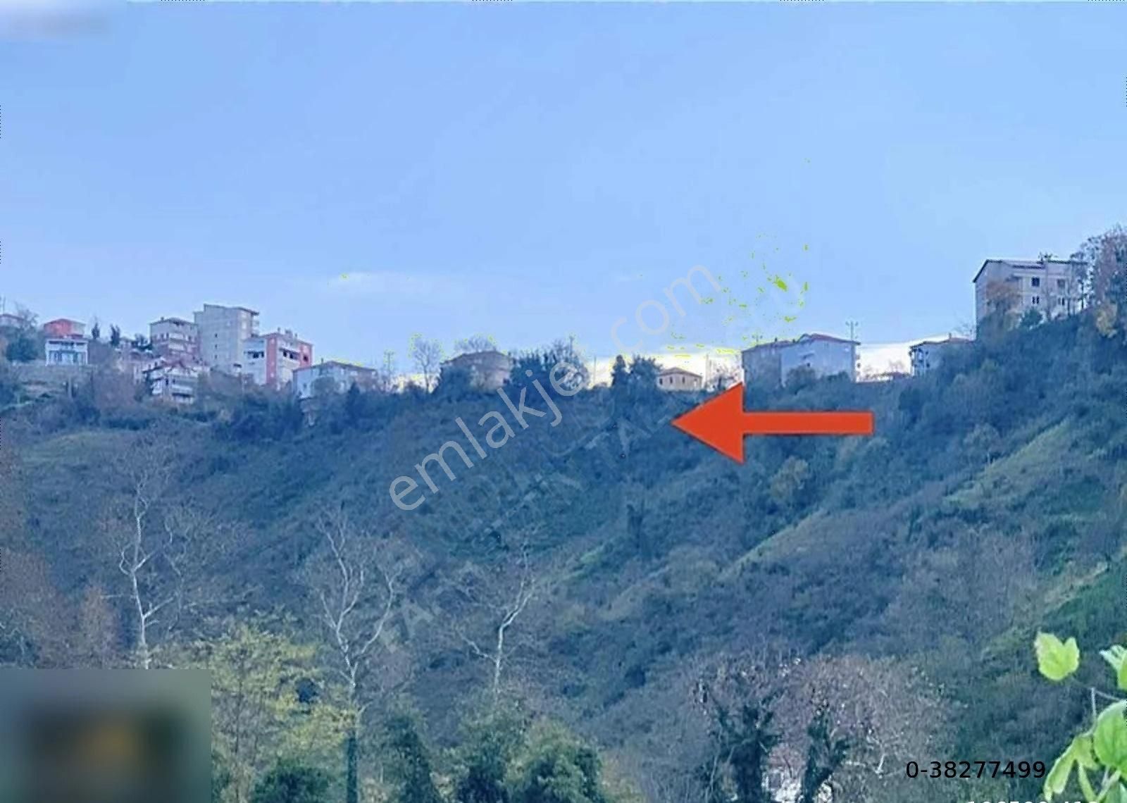 Satılık Deniz Manzaralı İçinde Evi Olan 32.290 M2 Fındık Bahçesi - Görsel 10