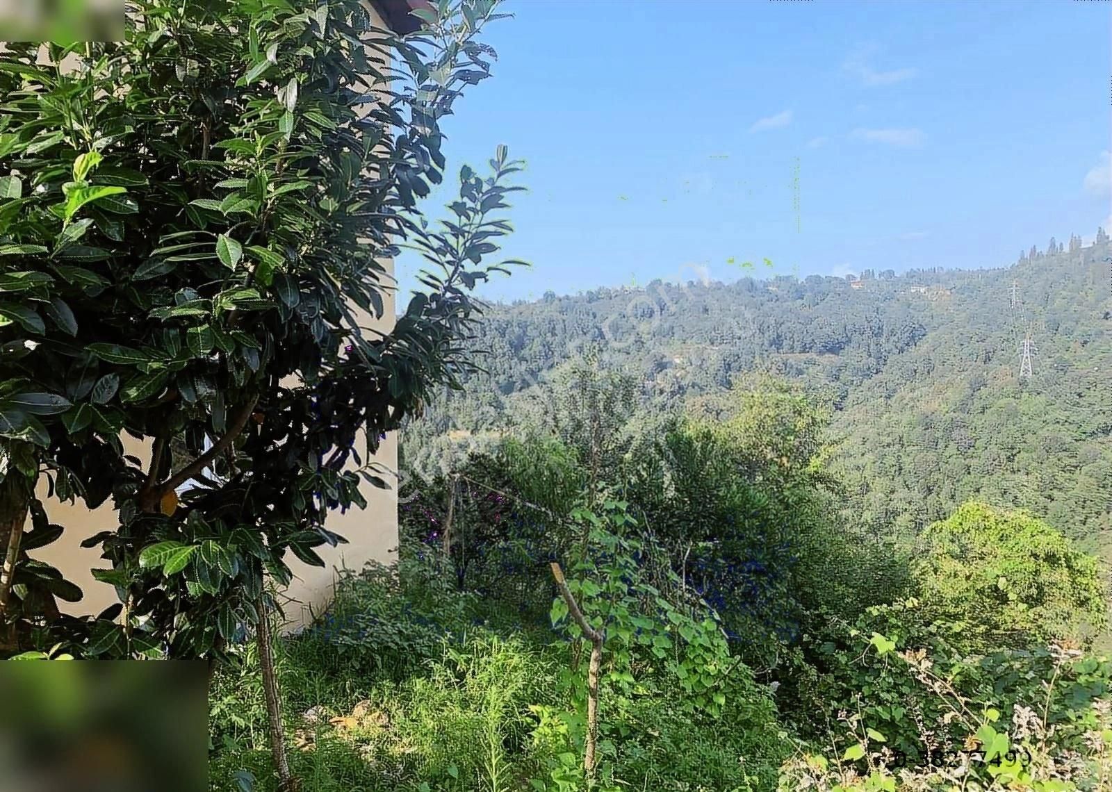 Satılık Deniz Manzaralı İçinde Evi Olan 32.290 M2 Fındık Bahçesi - Görsel 4