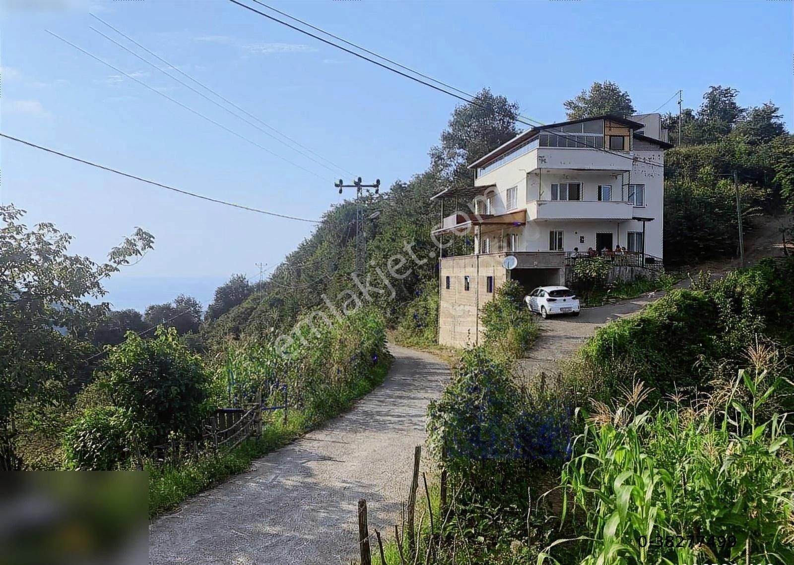 Satılık Deniz Manzaralı İçinde Evi Olan 32.290 M2 Fındık Bahçesi - Görsel 20