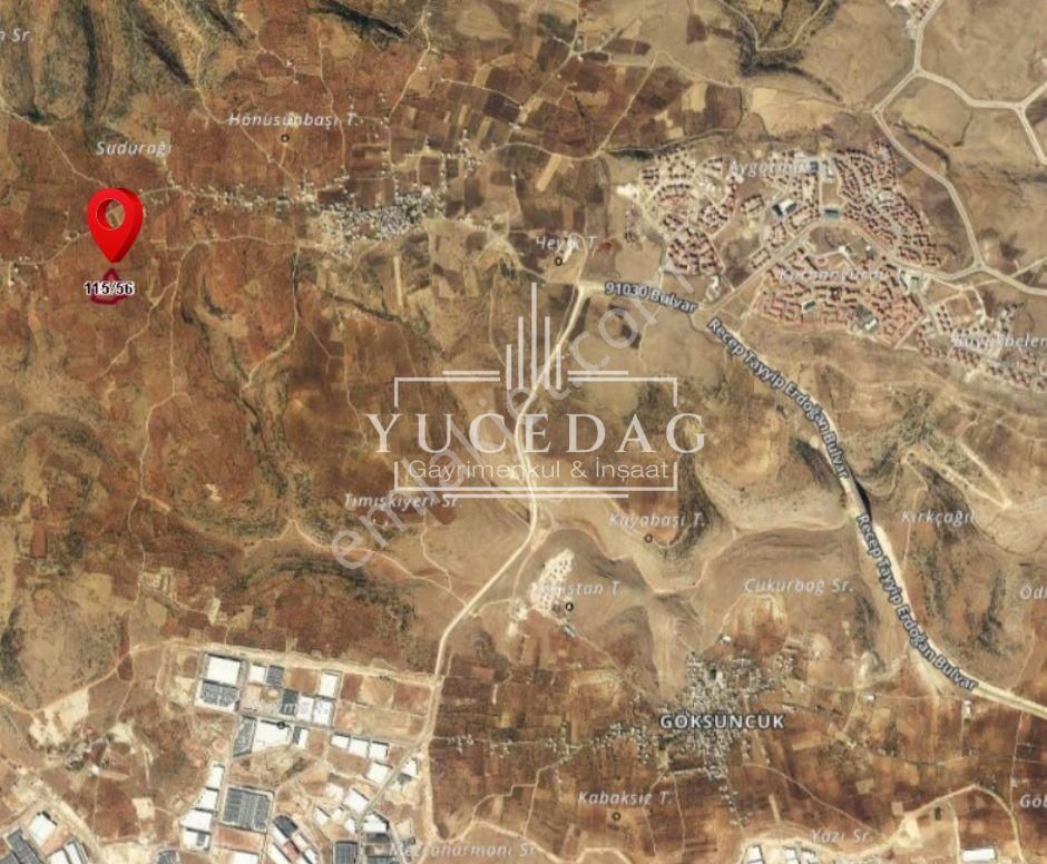 Gaziantep Karacaburç İmara Yakın Uygun 1.000m2 Satılık Fıstık Bahçesi........ - Görsel 7