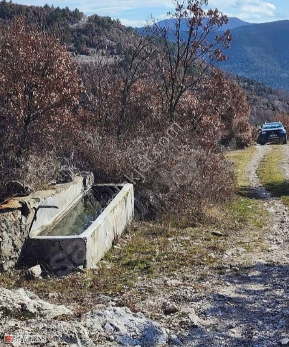 Domaniç Saruhanlar Köyü Satılık Tarla Kütahya Domaniçte Suyu İçinde Fırsat Arazi!!!