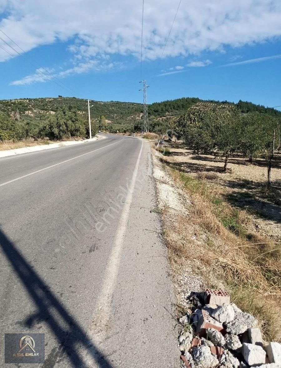 Torbalı Saipler Satılık Tarla Asil Emlaktan Torbalı Saipler Köyünde Satılık Zeytinlik