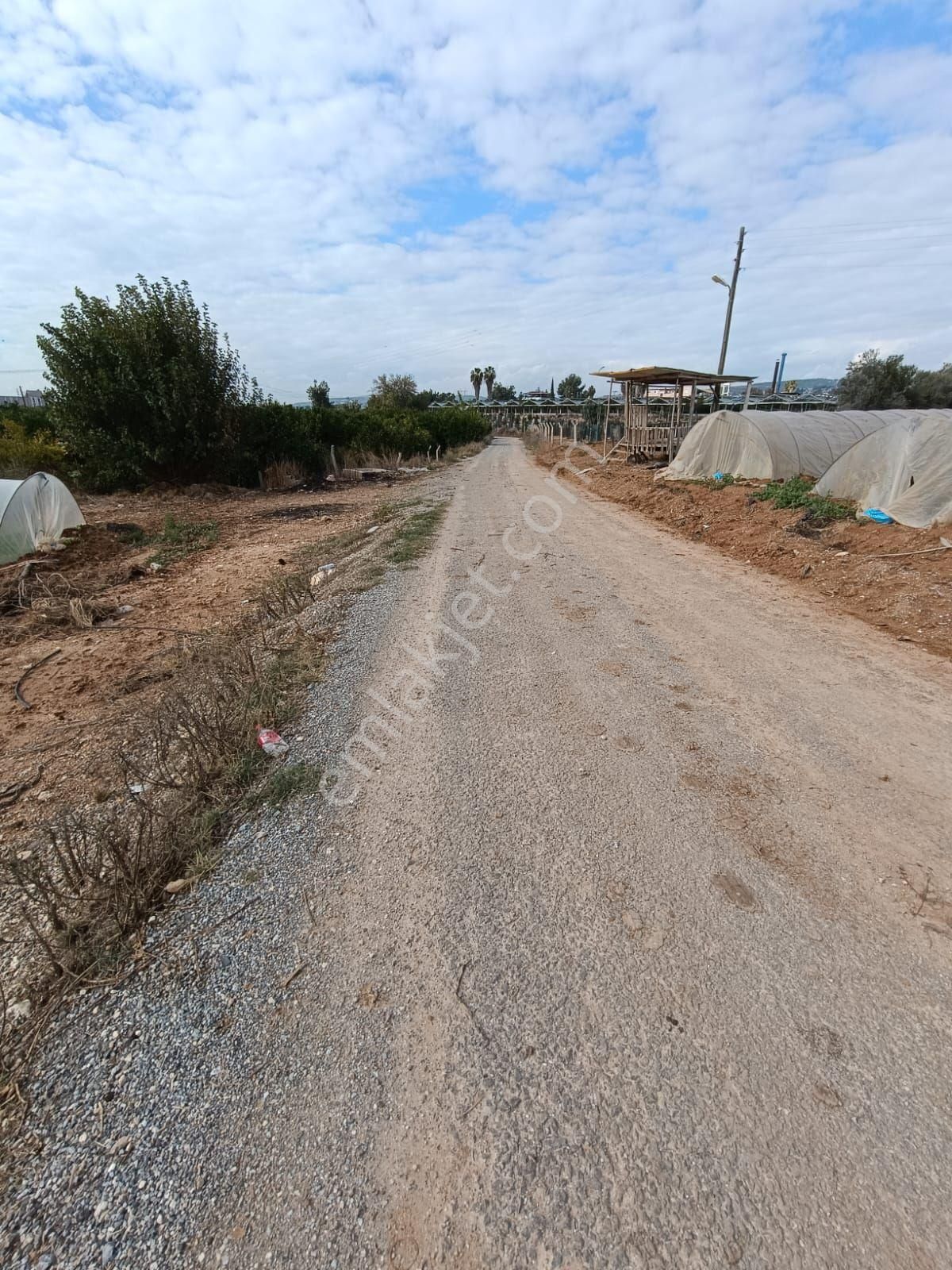 Akdeniz Bağlarbaşı Satılık Tarla Tarsus Bağlar Basi Mevki (7)donum Arzi Satılıktir