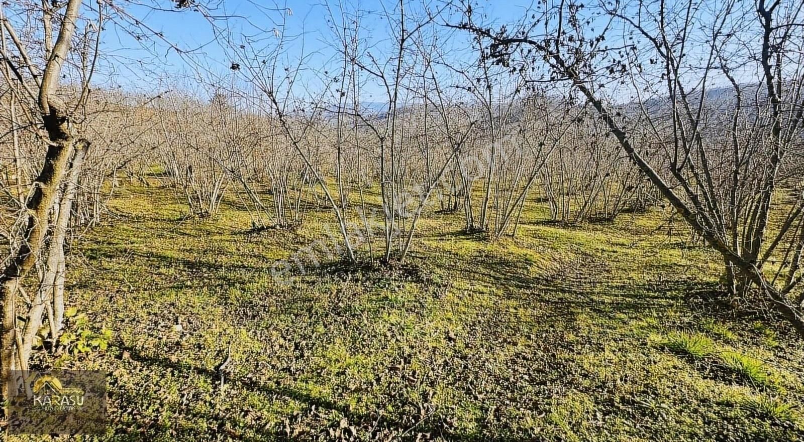 Kocaali Demiraçma Satılık Konut İmarlı Sakarya Kocaali De Satılık İmarlı Arsa