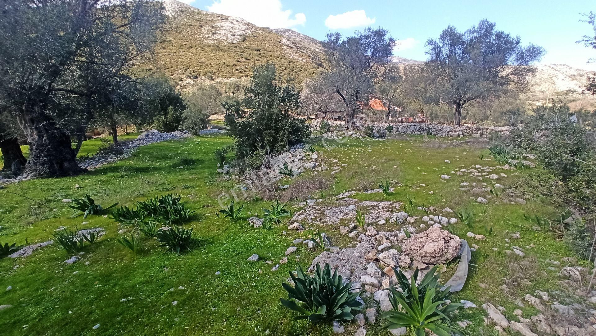 Seydikemer İzzettinköy Satılık Konut İmarlı Seydikemer İzzettin Anayol Cepheli Köyiçi Satılık Tarla