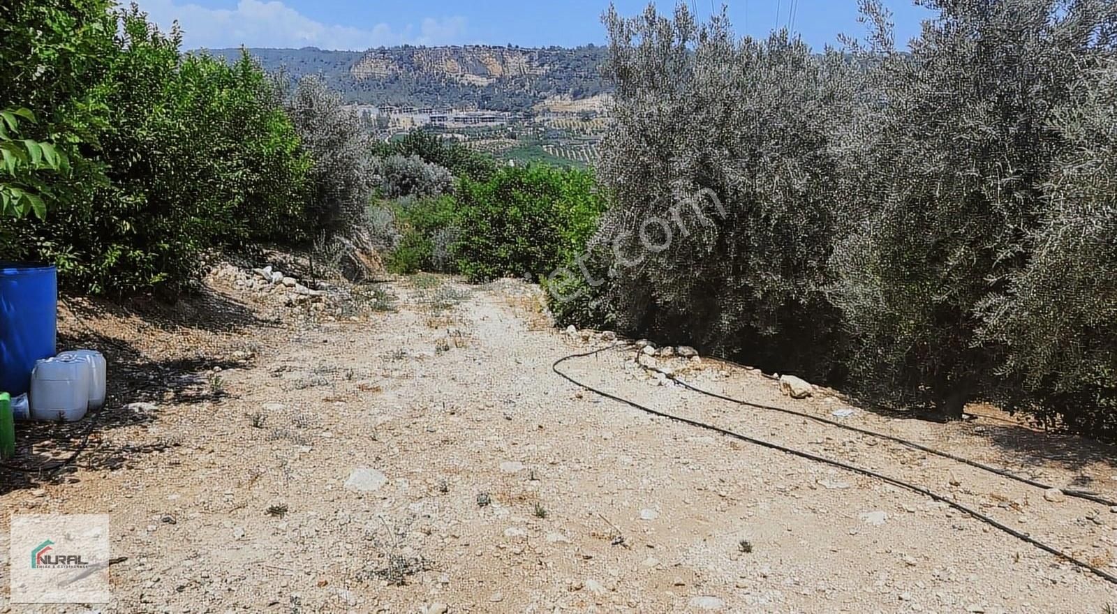 Mezitli Çevlik Satılık Tarla Mezitli De Yatırımlık 4 Dönüm Satılık Bahçe