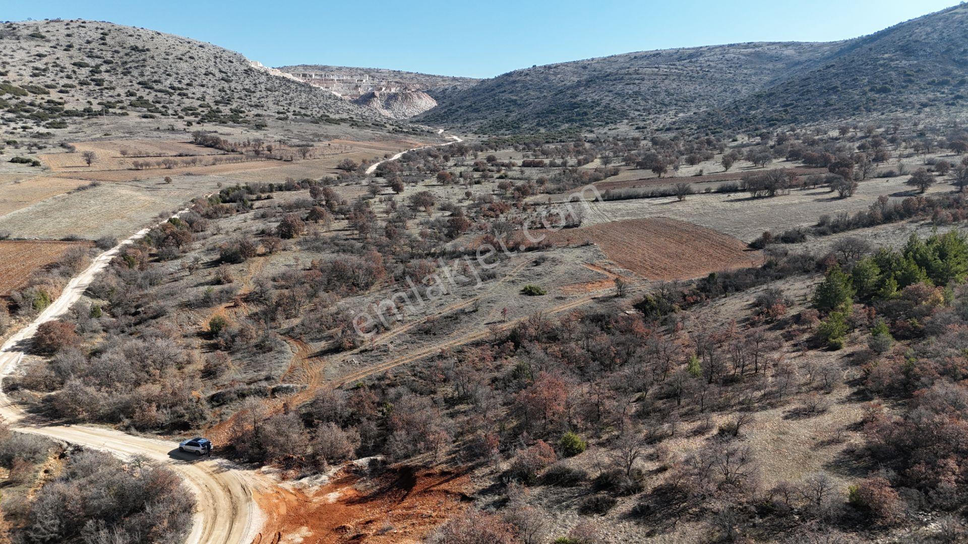 Denizli Bekilli Köselli Mahallesinde Satılık 8300 M² Tarım Arazi - Görsel 4