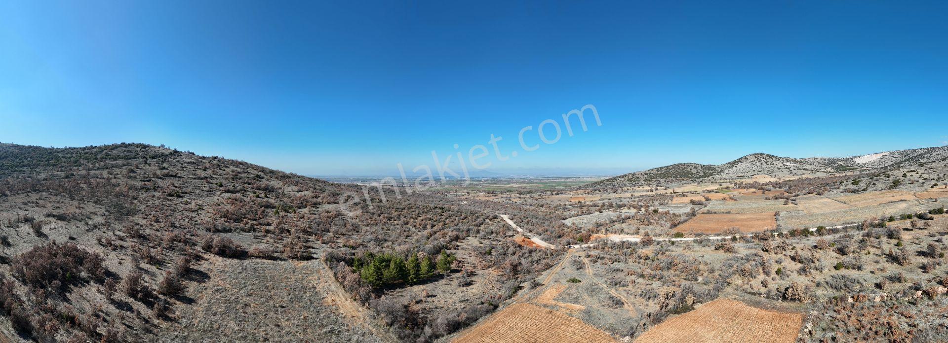 Denizli Bekilli Köselli Mahallesinde Satılık 8300 M² Tarım Arazi - Görsel 5