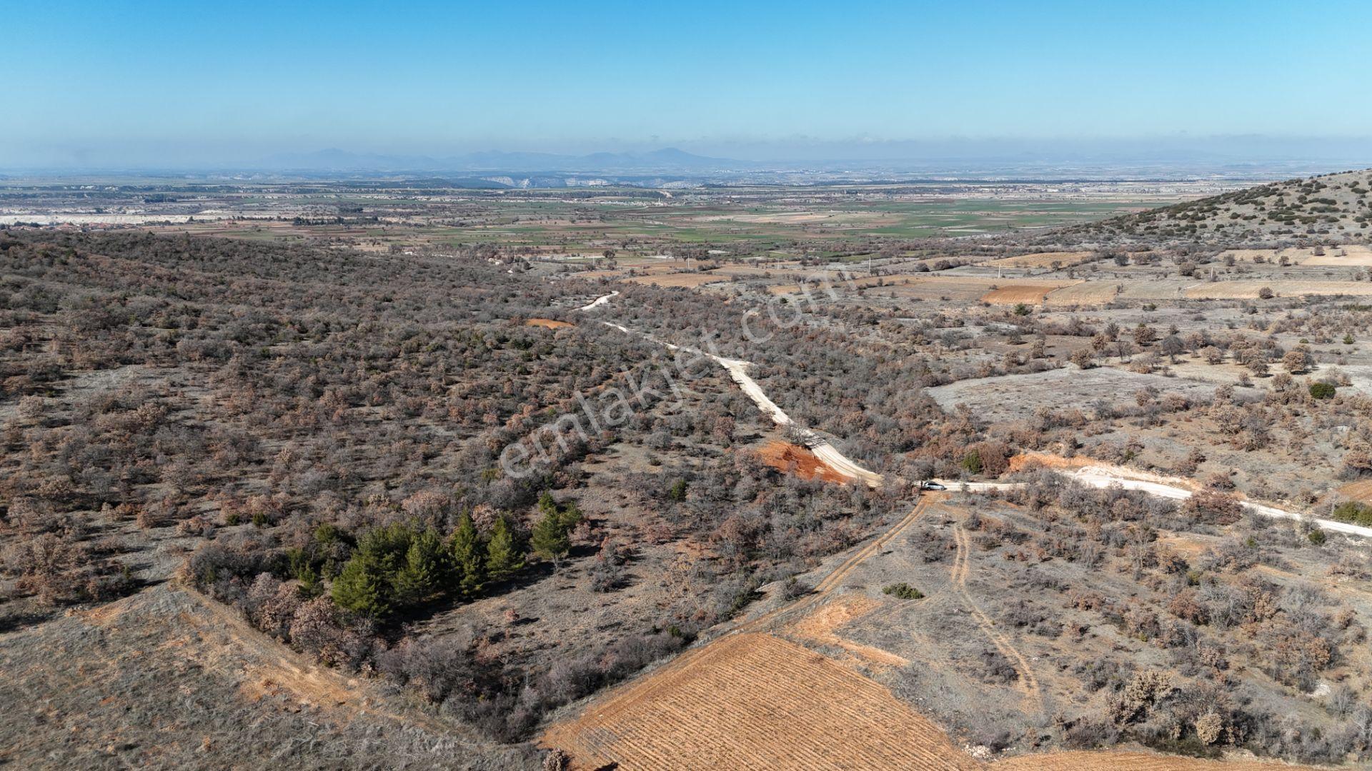 Denizli Bekilli Köselli Mahallesinde Satılık 8300 M² Tarım Arazi - Görsel 9
