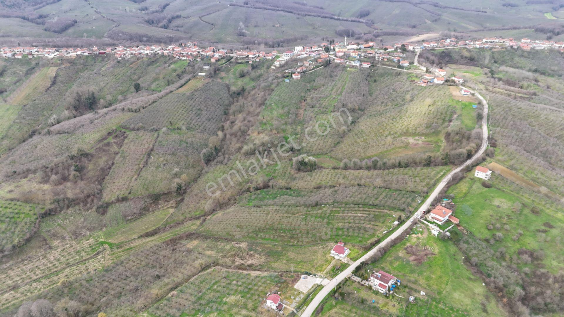 Re/max Mavi'den %40 İki Katresmi İmarlı Arsa - Görsel 17