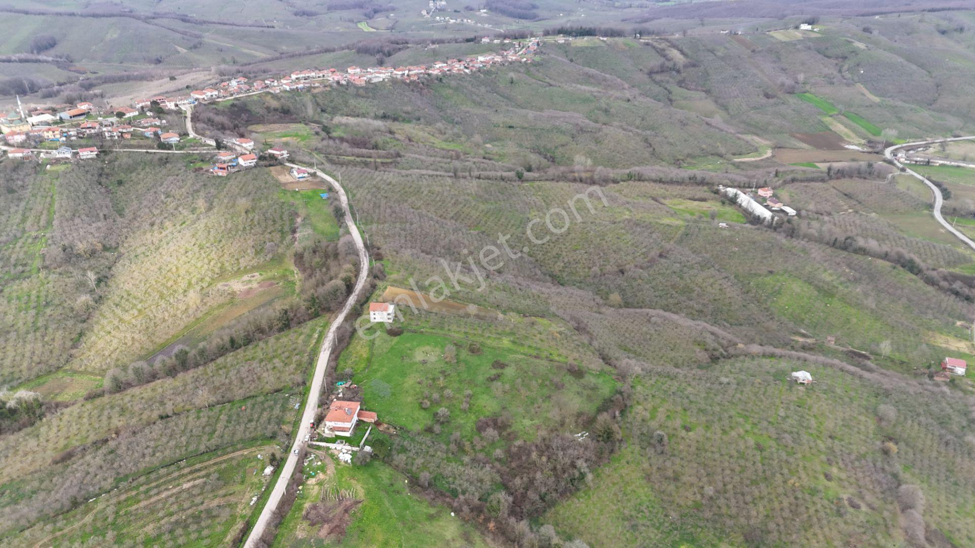Re/max Mavi'den %40 İki Katresmi İmarlı Arsa - Görsel 12