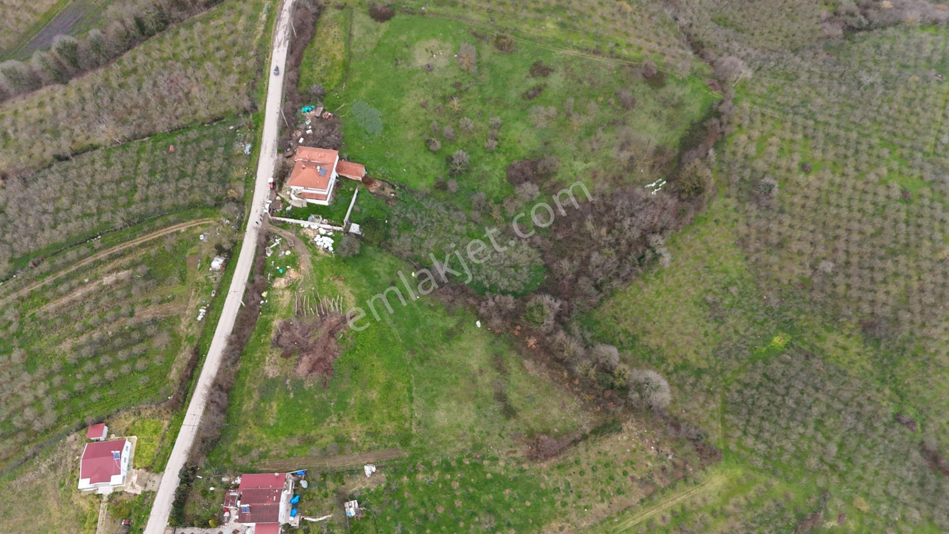 Re/max Mavi'den %40 İki Katresmi İmarlı Arsa - Görsel 8