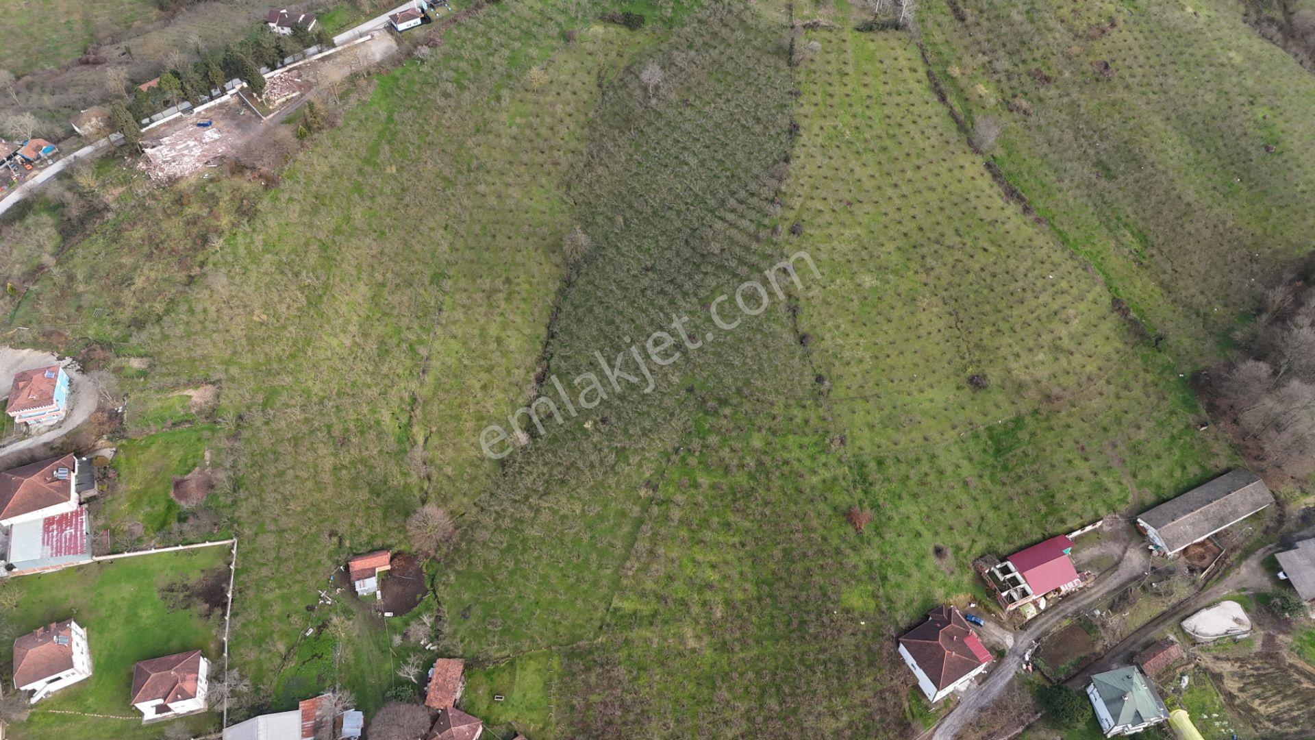 Re/max Mavi'den %40 İki Katresmi İmarlı Arsa - Görsel 31